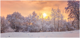 Winter Sunset / ***