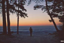 all that I need is this moment / ***