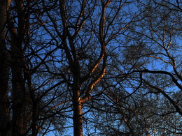 &nbsp; / 2014-11-27-0008-C00-072(82)