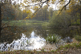 Alter Teich ... / ***