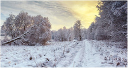 After snowfall / ***