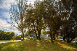 Die Sonne wärmte / ***