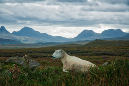 Glen Afric - Schottland / Aufnahme während einer Wanderung im Glen Afric (Schottland) im Sommer 2017