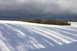 Shadows on the sand / ***