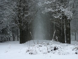 Dark alley / ***