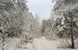 PF-2018 / ***