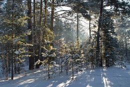 December / ***