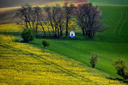 &nbsp; / MORAVA, CZ