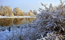 Winter shore / ***
