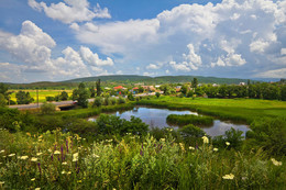 Summer landscape / ***
