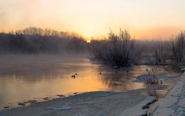 Winter fog / ***