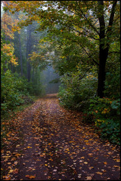 Herbst-Skizzen / ***