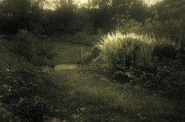 Bridge / ***
