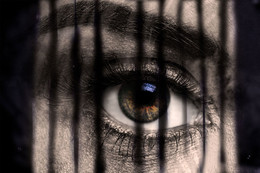 Sight / ***