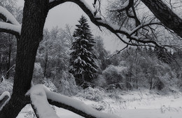 Winter schedule / ***