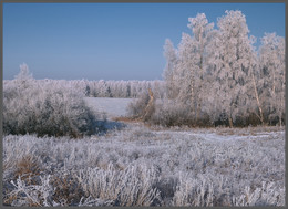 Severe cold / ---