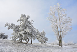 Winter ... ... / ***