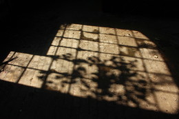 Lichtschatten / Einst ein alter Lokschuppen, nun eine gut besuchte leerstehende Location.