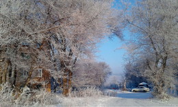 Frost / ***