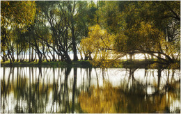 Remembering the Fall / ***