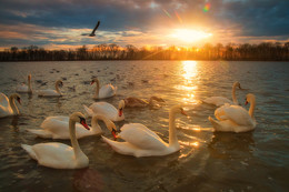 Encountering dawn / ***