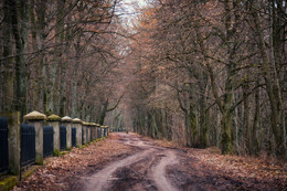  / https://max-helloween.livejournal.com/155650.html