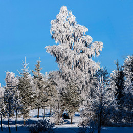  / Izmoroz'