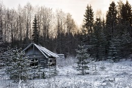Frost / ***