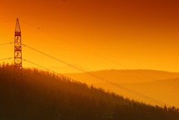 Bird on a wire... / ***