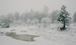 Eine solche Schneefall ... / ***