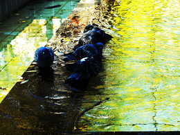 &nbsp; / 2014-09-0297-C00-066(81)+C