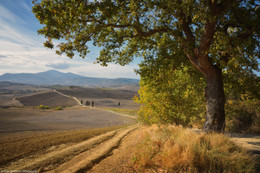 Tuscany / ***