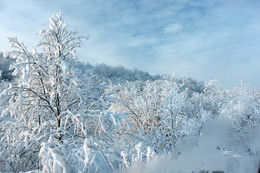 Frosty Muster / ***
