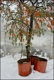 &nbsp; / [img]https://img-fotki.yandex.ru/get/769660/139734941.16/0_16524c_b9fe4670_orig.jpg[/img]

[img]https://img-fotki.yandex.ru/get/243369/139734941.16/0_16524b_fae79672_orig.jpg[/img]

[img]https://img-fotki.yandex.ru/get/370744/139734941.16/0_16524a_7e313dcf_orig.jpg[/img][/url]