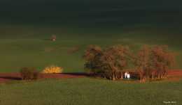 Strážovická kaplička / ***