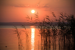Just the sunset / ***