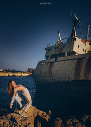 Ship Fox / ***