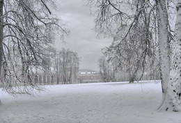 Winter Tag im Park / ***