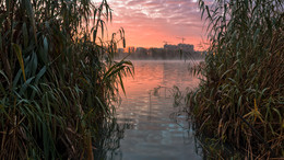 At dawn / ***