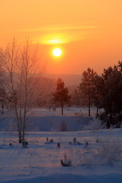 Winter dawn / ***