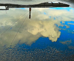 Reflection / ***