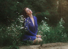 Dreams / ...