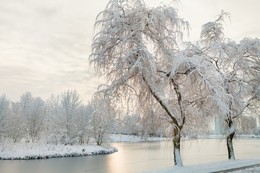 Winternebel / ***