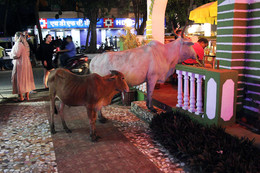 &nbsp; / [img]http://rasfokus.ru/upload/comments/aa264111da9bfea9daf2911c944b34ee.jpg[/img]
