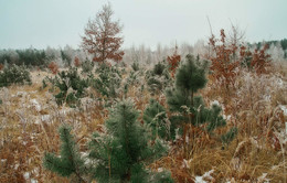 Winterlandschaft / ***