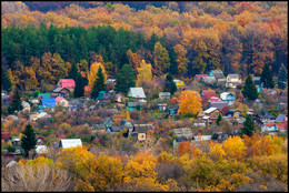 colors of autumn / ***