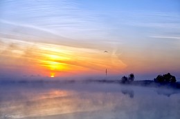 Morning / ***