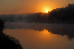 Morgen / ***