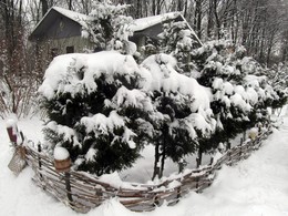 After snowfall / ***