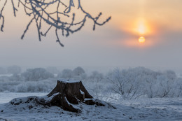 Die Begegnung Januar Morgengrauen / !!!!!!!!!!!!